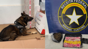 Foto: divulgação/ RECEITA FEDERAL